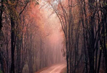 开云体育:“大高个”、大直径、大推力 长十二火箭首飞实现多项新突破.