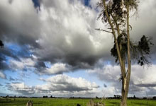 开云体育:帕切塔對於黃潛主帥職務滿懷信心.