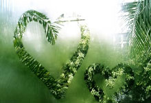 开云体育:2024歐預賽第1輪丹麥3-1芬蘭 "新哈蘭德"霍伊倫德戴帽!丹麥力克芬蘭!.