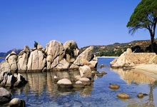 雷迪克談詹姆斯的日常 他的堅持並不簡單.